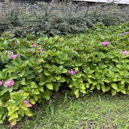 ヴィルヌーヴ・ラ・ガレンヌJardins De La Noueアパートメント エクステリア 写真